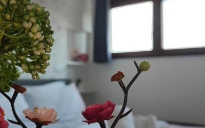 Appartamento con 2 Camere da Letto