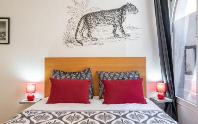 Appartement 1 Chambre Appartement 1 Chambre