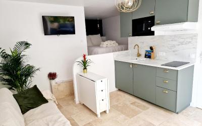 Appartement 1 Chambre