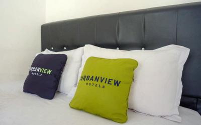 Suite Executive 