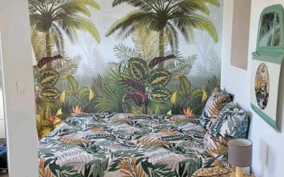 Appartement 1 Chambre