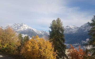 Appartement 1 Chambre Appartement 1 Chambre