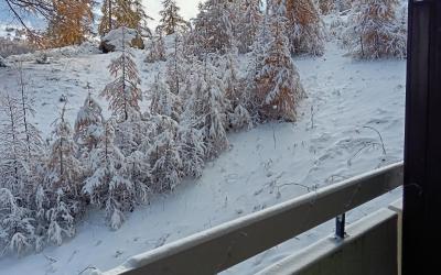 Studio - Vue sur Montagne Studio - Vue sur Montagne