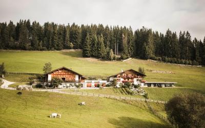 Appartamento con 1 Camera da Letto e Balcone