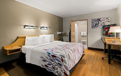 Superior King Room Disability Access Roll-ln Shower Smoke Free