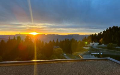 Appartement 1 Chambre Appartement 1 Chambre