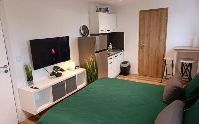 Appartement 1 Chambre Appartement 1 Chambre