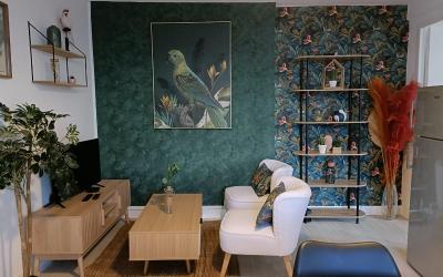 Appartement 1 Chambre