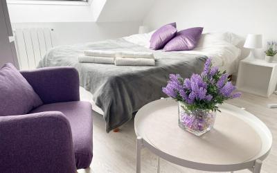 Appartement 1 Chambre