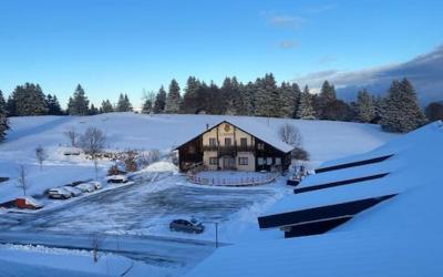 Appartement 1 Chambre Appartement 1 Chambre