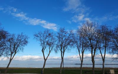 Chambre Double avec Salle de Bains Privative