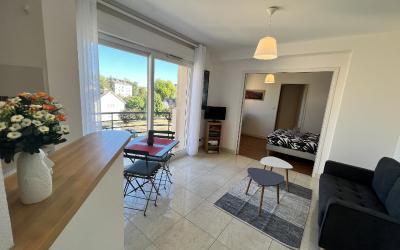 Appartement 1 Chambre