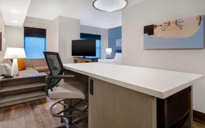 King Studio Suite with Kitchen and Sofa Bed
