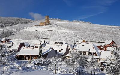 Appartement 1 Chambre