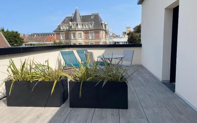 Appartement 1 Chambre