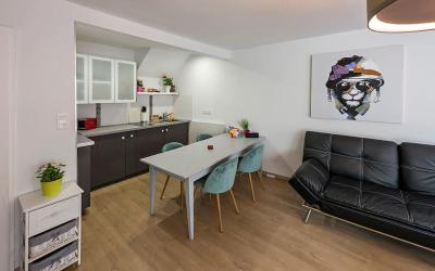 Appartement 1 Chambre Appartement 1 Chambre