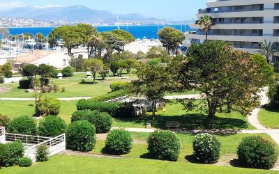 Appartement 1 Chambre Appartement 1 Chambre