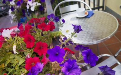 Camera Matrimoniale/Doppia con Letti Singoli