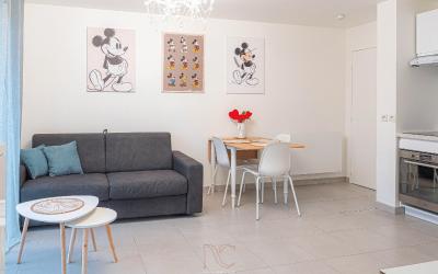 Appartement 1 Chambre