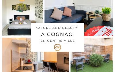 Appartement 1 Chambre