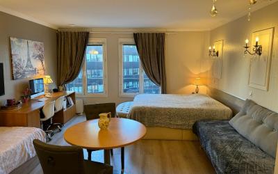 Appartement 1 Chambre