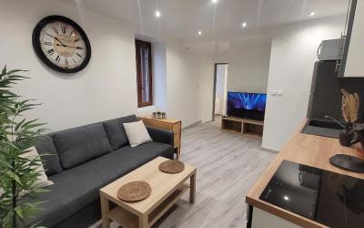 Appartement 1 Chambre