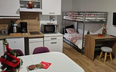 Appartement 1 Chambre