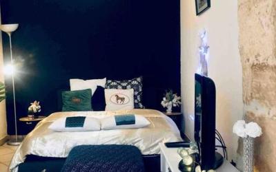 Appartement 1 Chambre