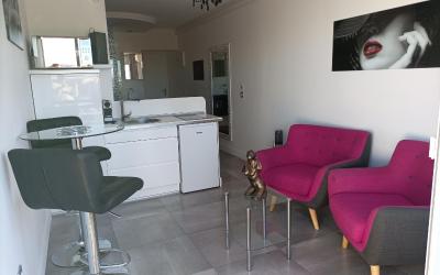 Appartement 1 Chambre