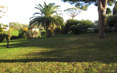 Appartement 1 Chambre