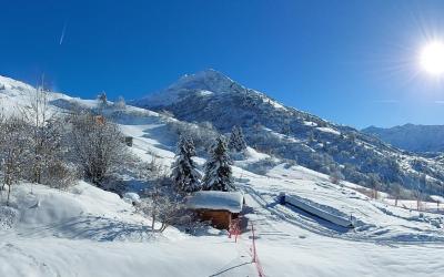 Appartement 1 Chambre