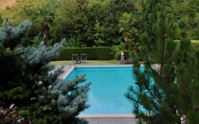 Suite con Vista Piscina