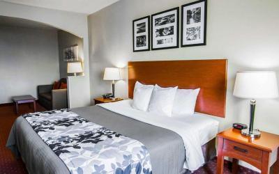 King Suite - Accessible/Non-Smoking