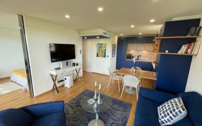 Appartement 1 Chambre