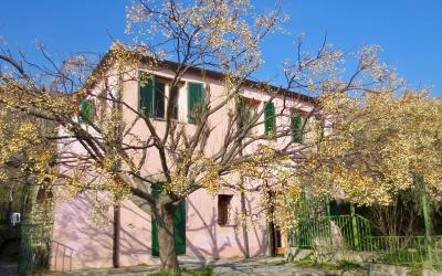 Appartamento con 1 Camera da Letto e Vista Giardino - Edificio Separato 