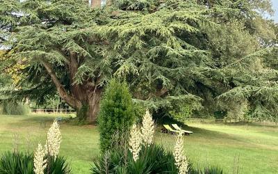Chambre Double - Vue sur Jardin Chambre Double - Vue sur Jardin