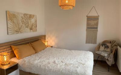 Appartement 1 Chambre