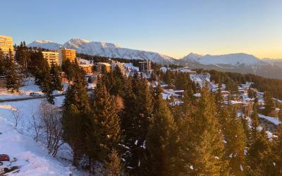 Appartement 1 Chambre
