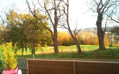 Appartement 1 Chambre Appartement 1 Chambre