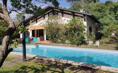 Villa Villa