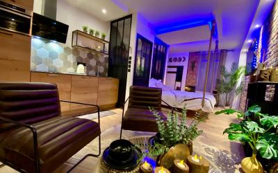 Appartement 1 Chambre