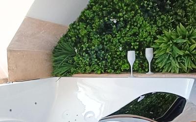 Appartement 1 Chambre Appartement 1 Chambre