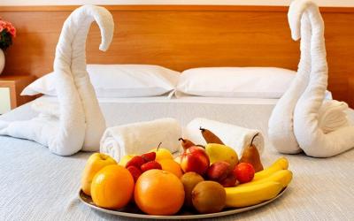 Camera Standard Matrimoniale/Doppia con Letti Singoli con Vista Giardino