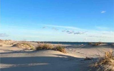 Appartement 1 Chambre Appartement 1 Chambre