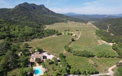 Villa Villa