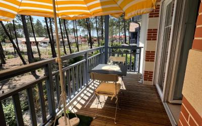 Appartement 1 Chambre