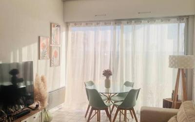 Appartement 1 Chambre