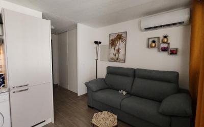 Appartement 1 Chambre