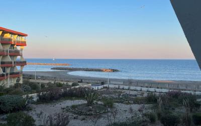 Appartement 1 Chambre