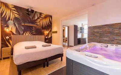 Appartement Supu00e9rieur avec Sauna